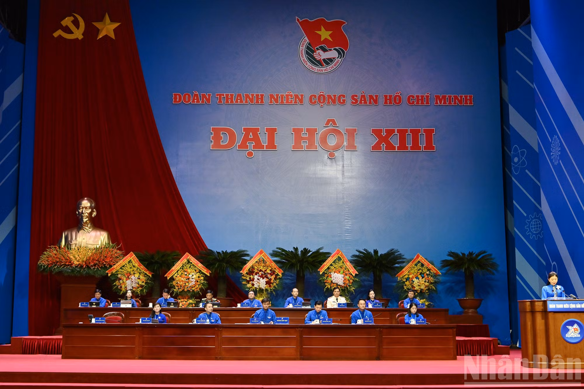 ndo_br_8-998.jpg