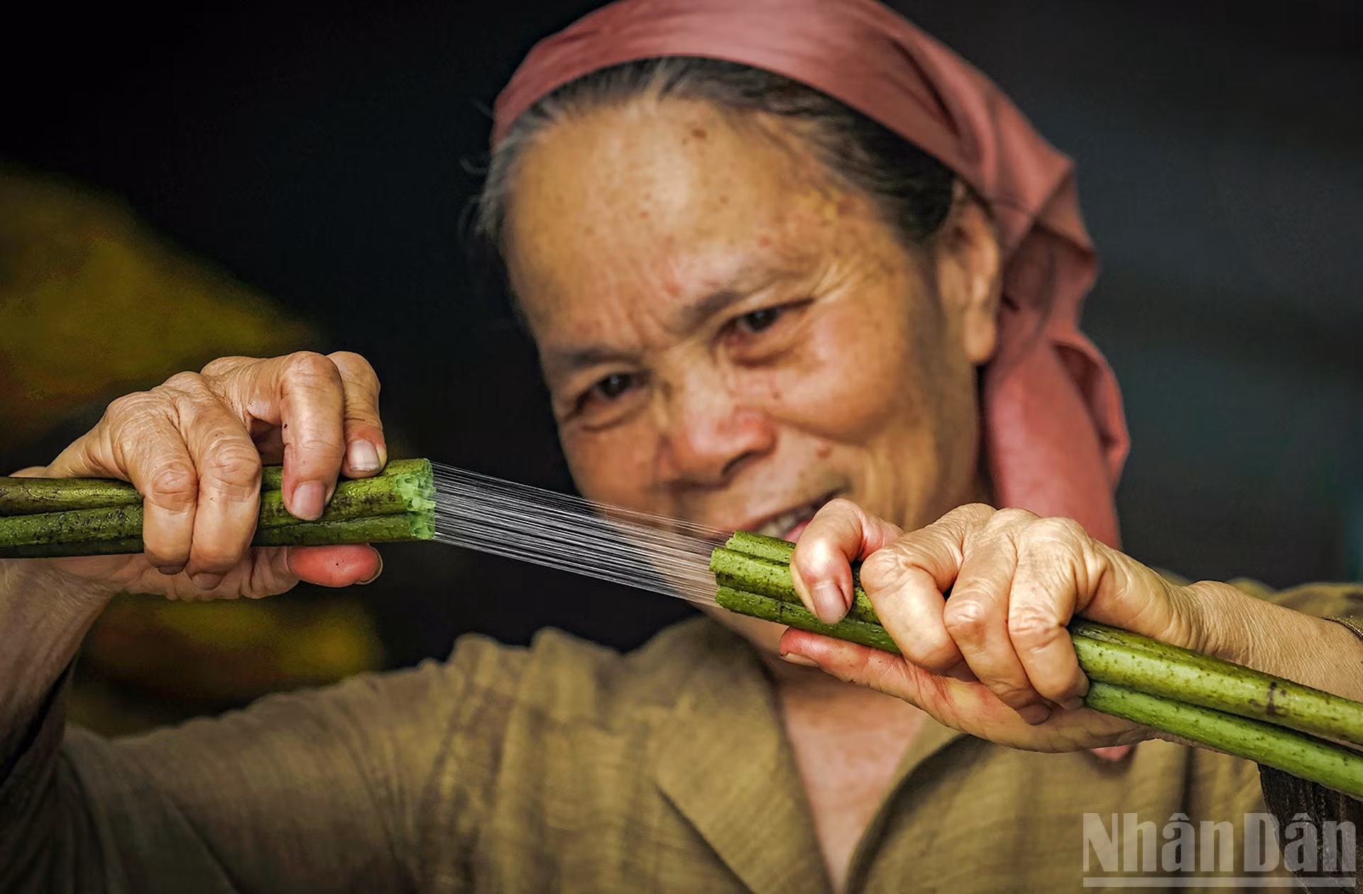 ndo_br_2-nghe-nhan-uu-tu-phan-thi-thuan-mot-nguoi-nong-dan-da-danh-ca-cuoc-doi-cho-nghe-det-lua-va-to-sen.jpg