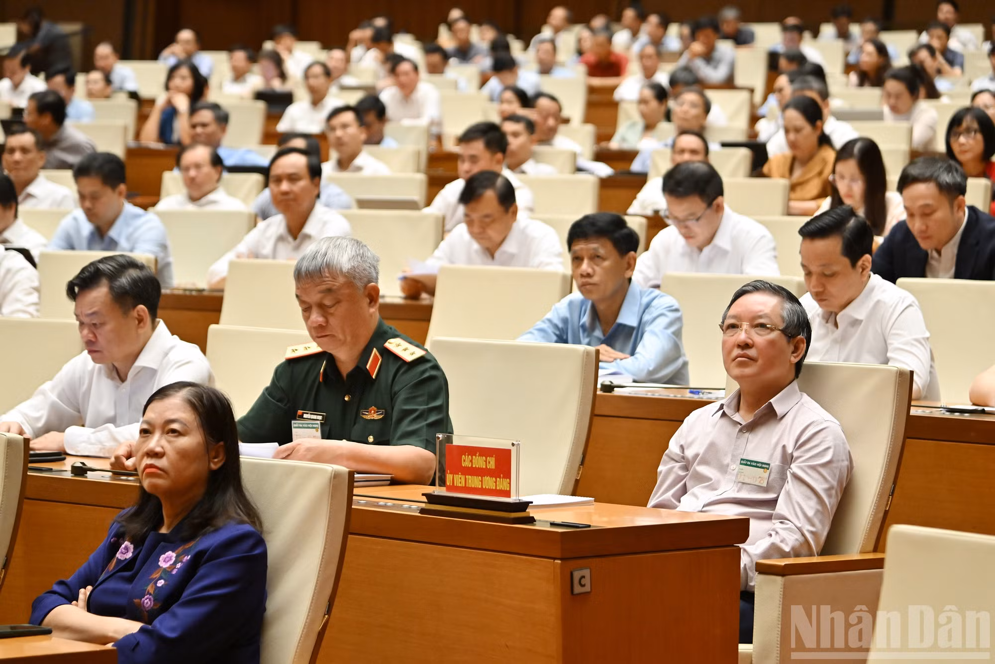 ndo_br_chi-2774.jpg