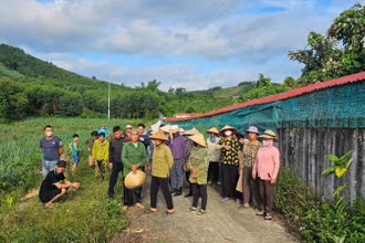 Người dân phản đối trang trại lợn gây ô nhiễm ở Thanh Hóa.