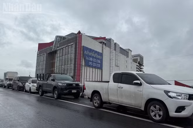 Nhiều bãi đỗ xe tạm thời dài hàng kilomet được hình thành trên đường cao tốc. (Ảnh: XUÂN SƠN)