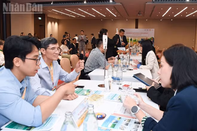 Hội thảo “Kết nối cung cầu giữa doanh nghiệp Việt Nam và doanh nghiệp Thái Lan” diễn ra tại Bangkok. (Ảnh: XUÂN SƠN)