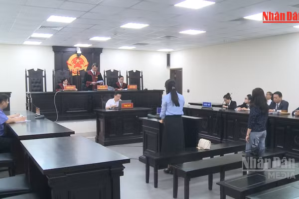 [Video] Hủy án sơ thẩm, điều tra bổ sung vụ cựu Hiệu trưởng THCS Ba Đình 