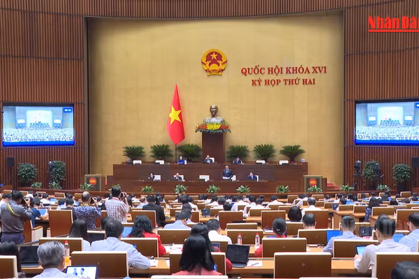 [Video] Hoàn thiện hành lang pháp lý cho kinh tế số