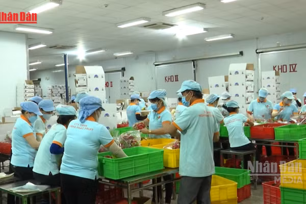 [Video] Duy trì đà tăng trưởng xuất khẩu nông sản