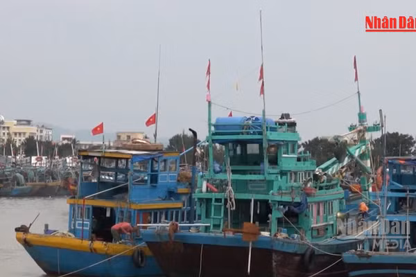 [Video] Lâm Đồng tập trung khắc phục tồn tại, quyết liệt chống khai thác IUU 