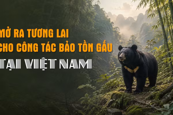[Video] Mở ra tương lai cho công tác bảo tồn gấu tại Việt Nam 