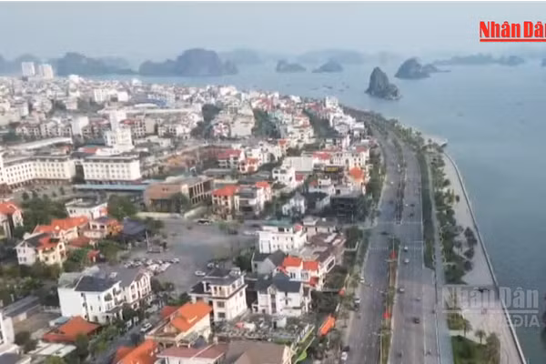 [Video] Quảng Ninh làm sạch, chuẩn hóa gần 70% dữ liệu đất đai 
