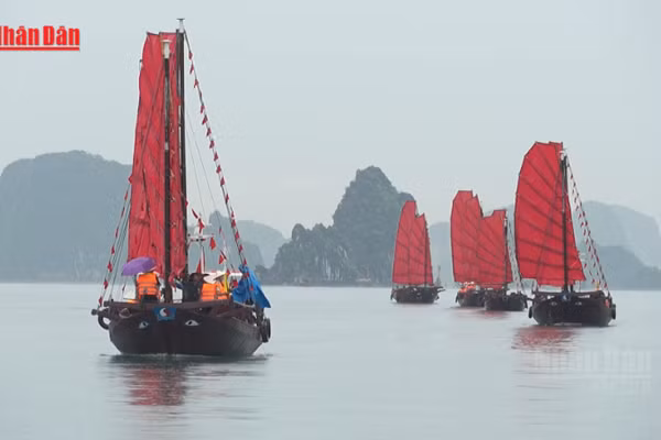 [Video] Trải nghiệm đi thuyền buồm ba vách trên vịnh Hạ Long