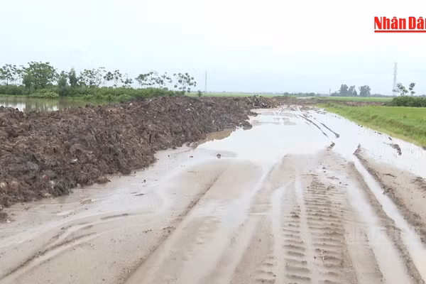 [Video] Mưa lớn gây gián đoạn thi công một số công trình trọng điểm tại Hưng Yên