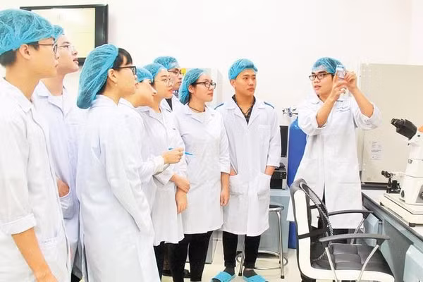 Hoạt động nghiên cứu khoa học tại Đại học Quốc gia Thành phố Hồ Chí Minh.