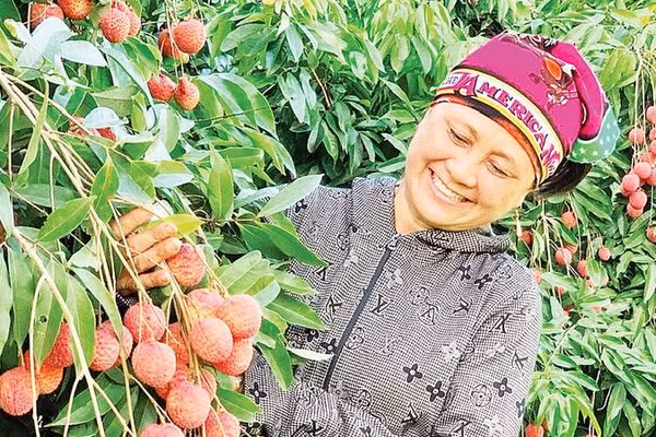 Nông dân xã Đoàn Đào chuyển đổi sang trồng vải trứng cho thu nhập cao.