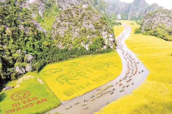 Cánh đồng lúa bên dòng sông Ngô Đồng tại Khu du lịch Tam Cốc-Bích Động (Ảnh SỞ DU LỊCH NINH BÌNH)