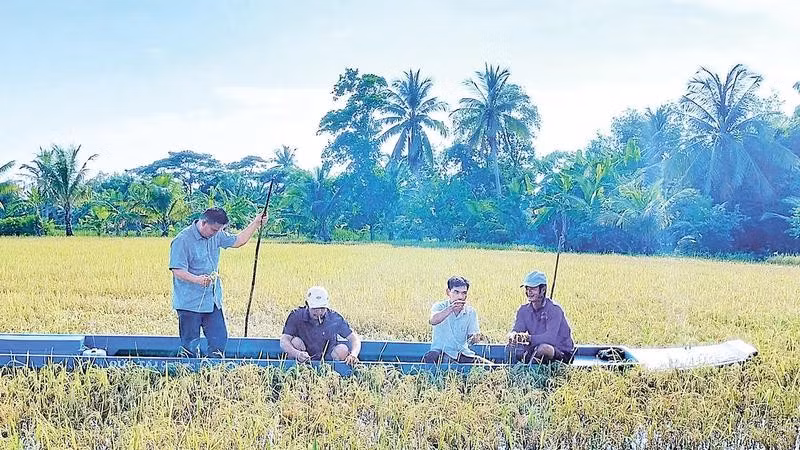 Lực lượng chức năng và nông dân xã Khánh Bình, tỉnh Cà Mau di chuyển bằng vỏ lãi ra đồng bị ngập sâu khảo sát, rà soát mức độ thiệt hại để lên phương án hỗ trợ nhà nông.