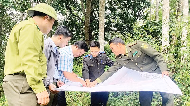 Các đơn vị chức năng và kiểm lâm Thái Nguyên kiểm tra, rà soát quy hoạch rừng để làm cơ sở giao đất, giao rừng cho người dân và cộng đồng bảo vệ, quản lý.