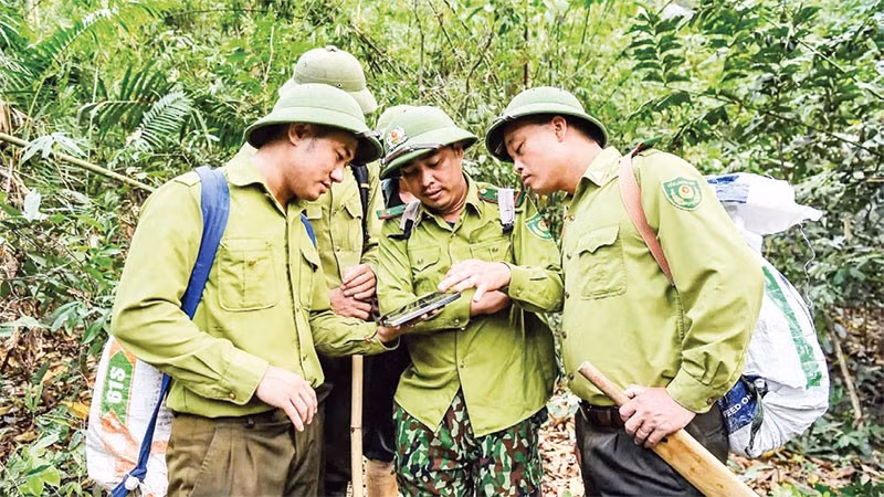Nghệ An là địa phương có diện tích rừng lớn với gần một triệu héc-ta, việc ứng dụng công nghệ trong phòng, chống cháy rừng là rất cần thiết.