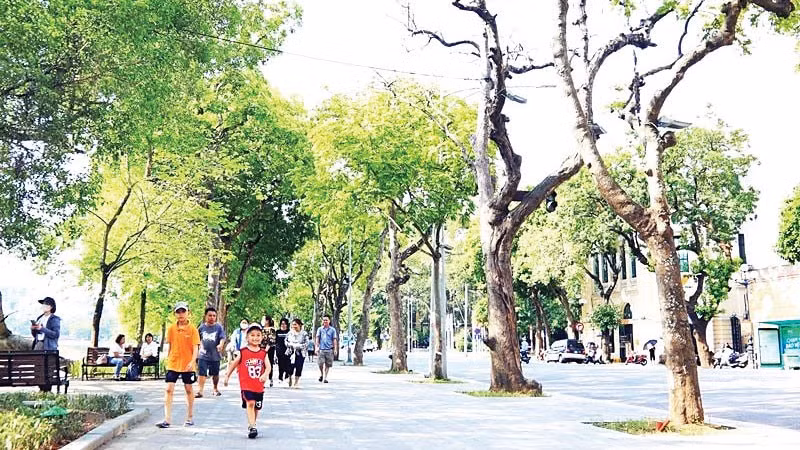 Hà Nội cần đầu tư thêm vỉa hè đủ tiêu chuẩn để người dân đi bộ an toàn, thuận lợi. (Ảnh VIẾT THÀNH)
