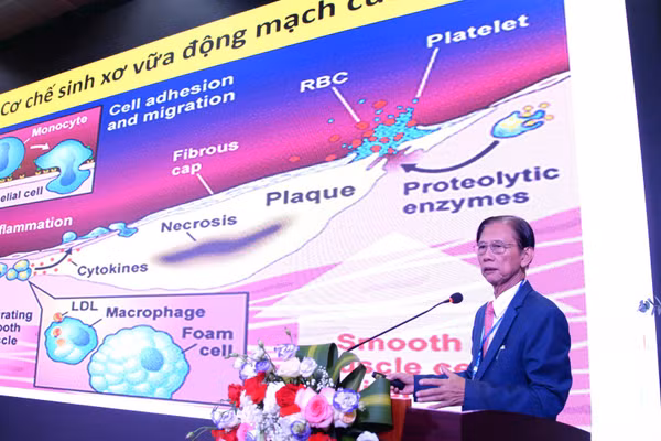Các chuyên gia cập nhật những tiến bộ mới trong lĩnh vực nội tiết-chuyển hóa. (Ảnh: Anh Ngọc)