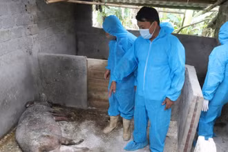 Các cấp chính quyền và lực lượng chức năng trong tỉnh đang nỗ lực kiểm soát và phòng, chống dịch.