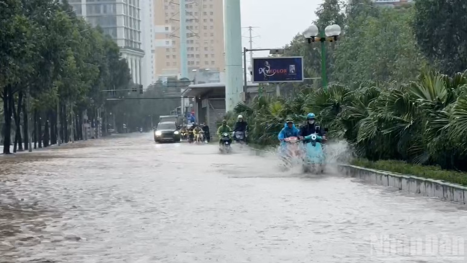 ndo_br_to-huu.jpg