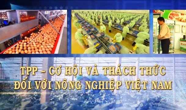 Gallery - TPP, cơ hội và thách thức - image 27