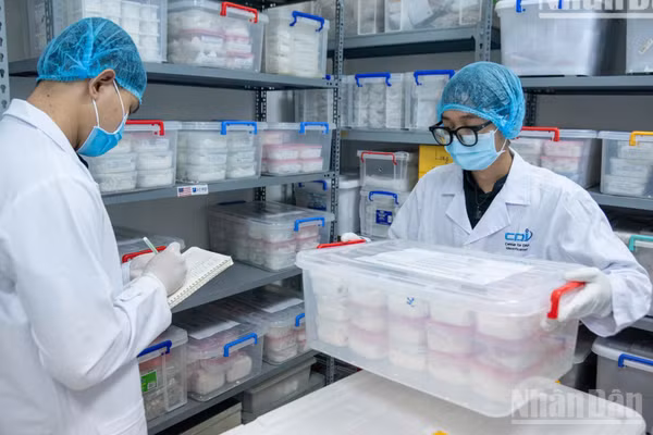 Trung tâm Giám định ADN (Viện Hàn lâm khoa học và Công nghệ Việt Nam) thực hiện xác định danh tính hài cốt liệt sĩ bằng phương pháp giám định ADN. (Ảnh: MINH DUY/nhandan.vn)