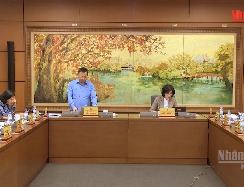[Video] Người nổi tiếng livestream, tài sản mã hóa nóng nghị trường chiều 6/8 
