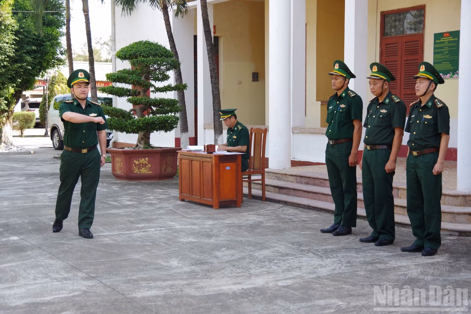 ndo_br_anh-5.jpg