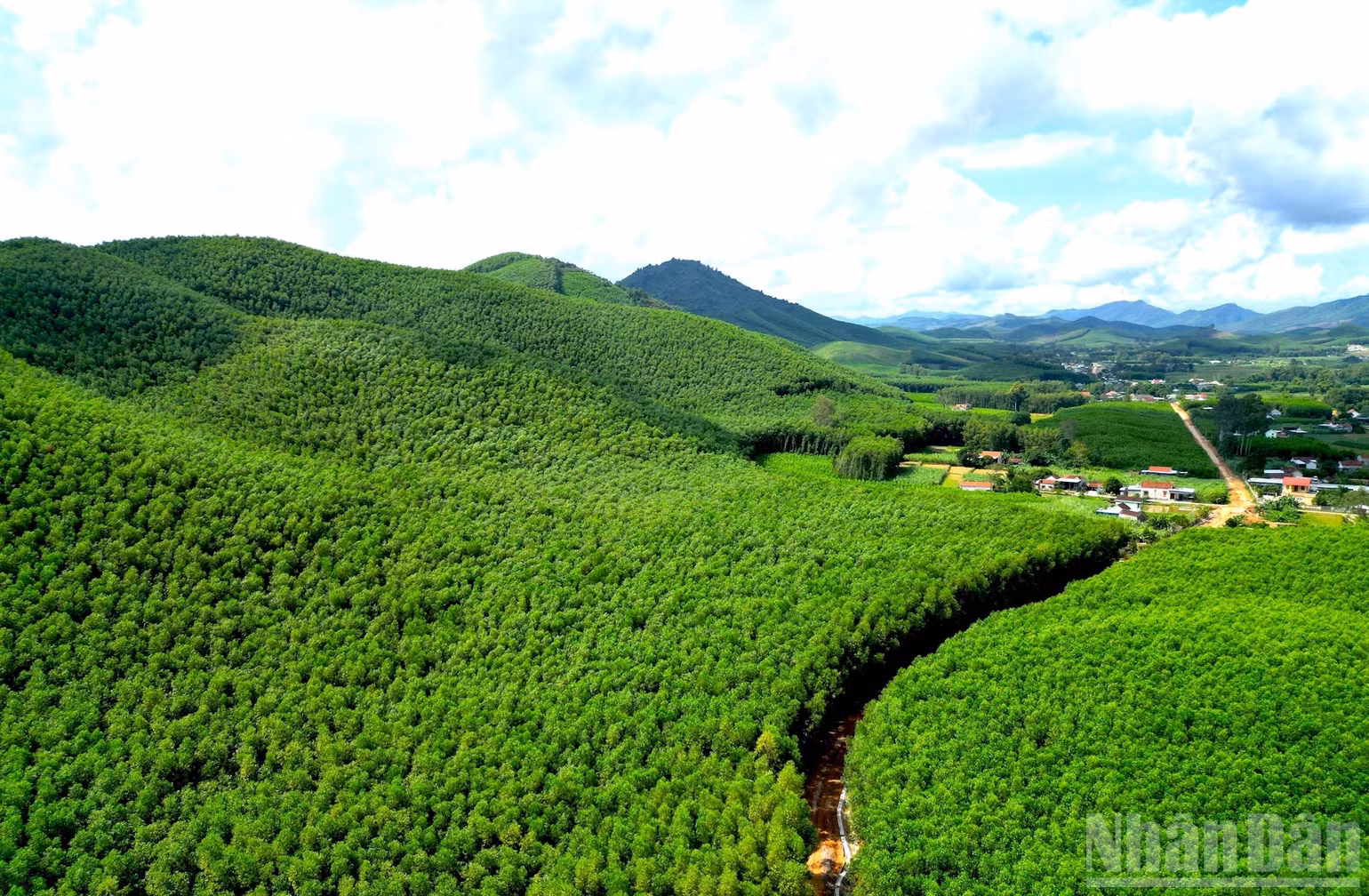 ndo_br_anh-26.jpg