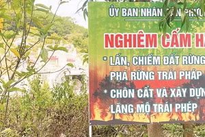 Huế tính đến việc phải xây dựng “khu tái định cư” cho lăng mộ để lấy quỹ đất phục vụ đầu tư phát triển.