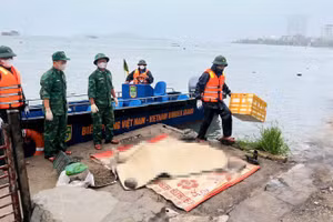 Lực lượng chức năng tìm thấy nạn nhân Hoàng Việt Hùng, sinh năm 1979 trong vụ lật tàu du lịch trên Vịnh Hạ Long.