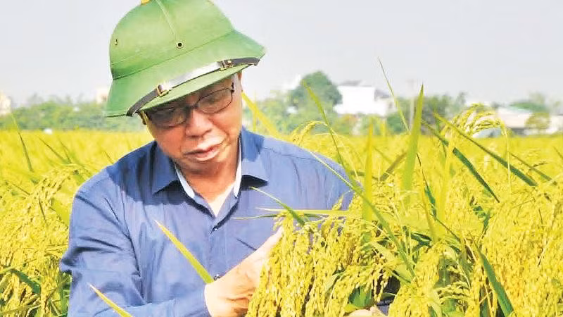 Anh hùng Lao động Trần Mạnh Báo là Chủ nhiệm 18 đề tài khoa học, trong đó có đề tài cấp Nhà nước.