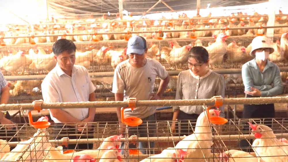 Lãnh đạo xã Lộc Ninh tham quan mô hình chăn nuôi hiệu quả.