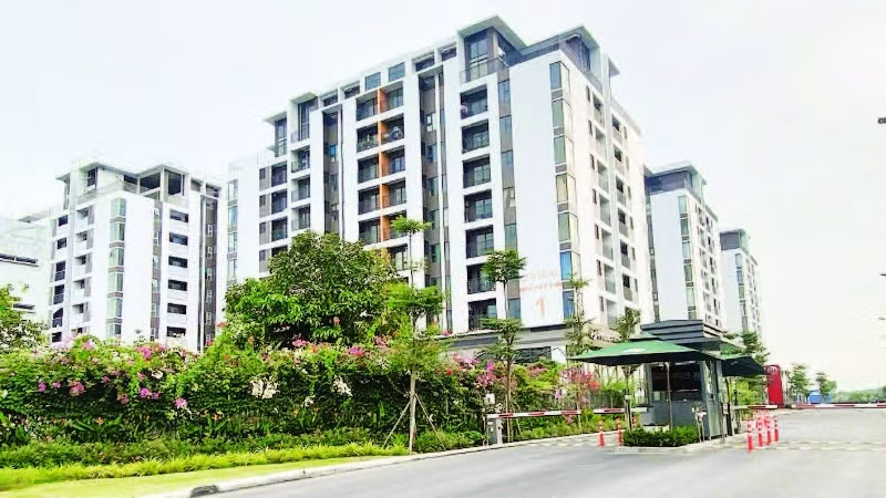 Một dự án nhà ở xã hội ở Quận 7 (cũ) vừa hoàn thành và đưa vào sử dụng.