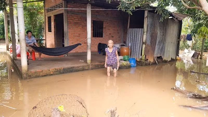Xung quanh căn nhà bà Nguyễn Thị Hoa ở xã An Bình, tỉnh Vĩnh Long bị ngập do triều cường. 