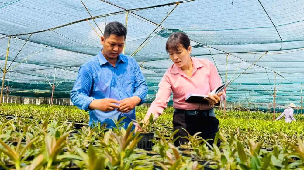 Cán bộ khuyến nông hướng dẫn các hộ kinh doanh áp dụng công nghệ vào phát triển nông nghiệp.