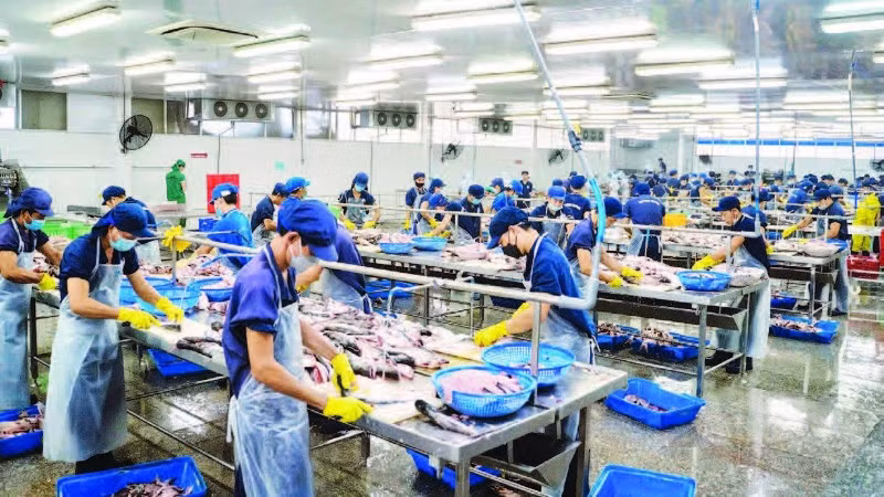 Công nhân chế biến thủy sản ở Khu công nghiệp Trà Nóc.