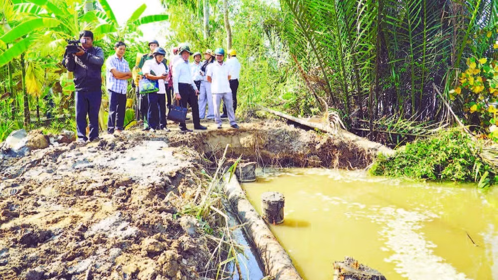 Ngành chuyên môn Cần Thơ khuyến khích người dân tham gia bảo vệ bờ sông bằng các biện pháp tự nhiên như trồng cây chắn sóng tại những khu vực có bãi bồi.