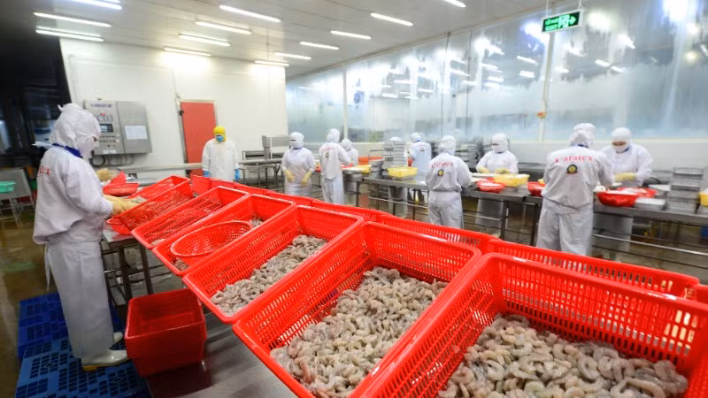 Nghiên cứu chọn tạo giống góp phần quan trọng vào tăng trưởng xuất khẩu thủy sản. 