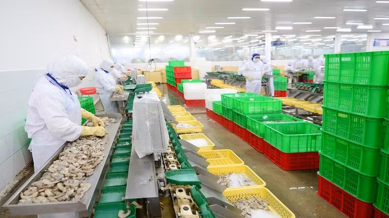 Xuất khẩu thủy sản sang EU tăng mạnh nhờ EVFTA.