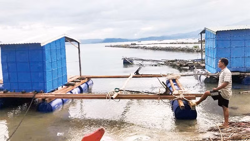 Ông Nguyễn Tấn Cường trăn trở vì chưa có vốn để làm lại lồng bè, ghe thuyền và mua con giống cho vụ mùa mới.