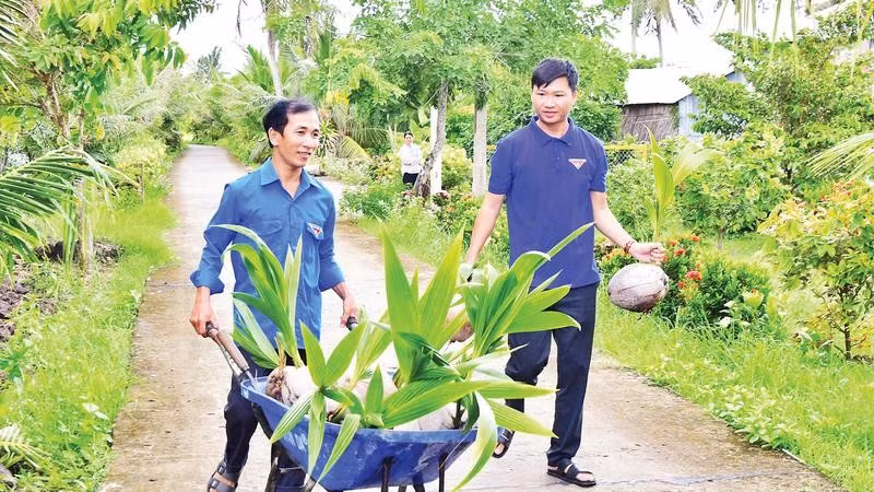 Anh Lê Trọng Đáng (bên trái), nguyên Bí thư Chi đoàn ấp Xẻo Lá B, xã Tân Thạnh với mô hình trồng dừa.