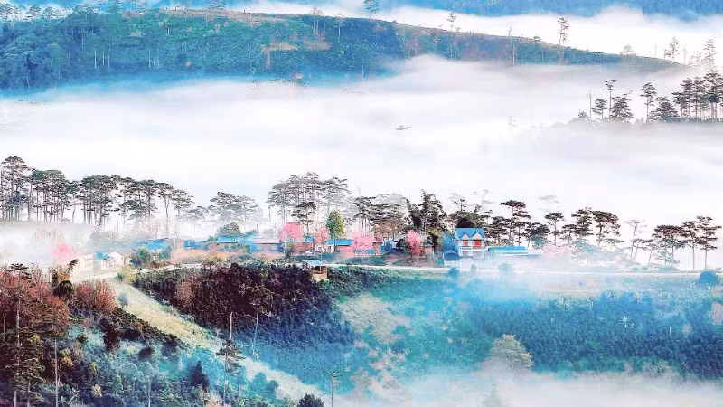 Cảnh quan thiên nhiên vùng cao nguyên Lâm Đồng là tài nguyên quý cho du lịch địa phương.