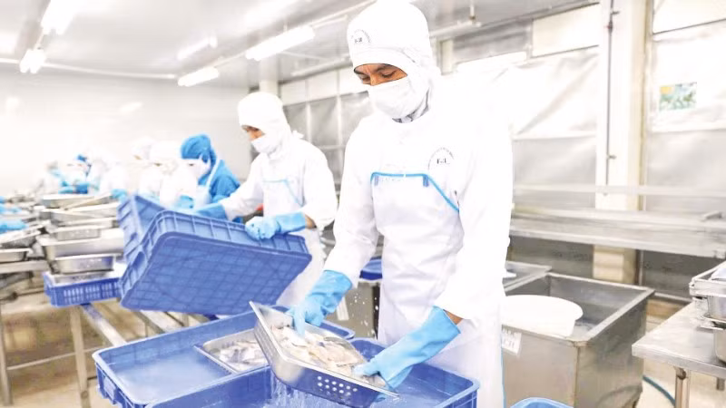 Chế biến thủy sản xuất khẩu tại Công ty Baseafood.