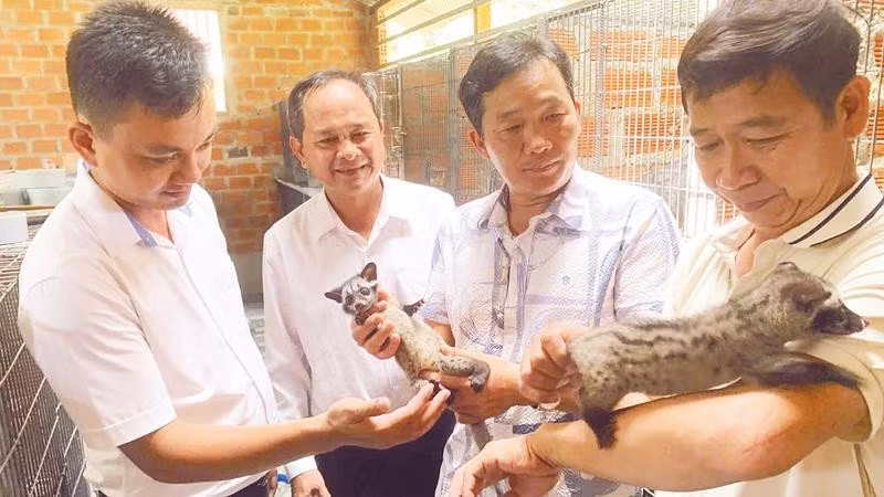 Ông Đặng Văn Tân (ngoài cùng, bên phải) giới thiệu với khách tham quan về mô hình nuôi chồn vòi hương mang lại hiệu quả kinh tế cao.