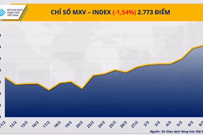 Giá dầu lao dốc gần 12%, dòng tiền đầu cơ đẩy giá bạc bứt phá