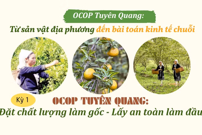 OCOP Tuyên Quang: “Đặt chất lượng làm gốc - Lấy an toàn làm đầu"