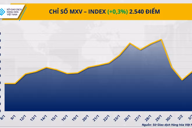 Diễn biến trái chiều giữa các nhóm hàng khiến MXV-Index đóng cửa chỉ nhích nhẹ 0,3%, lên 2.540 điểm.