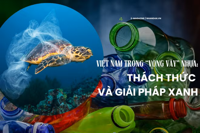 Việt Nam trong “vòng vây” nhựa: Thách thức và giải pháp xanh