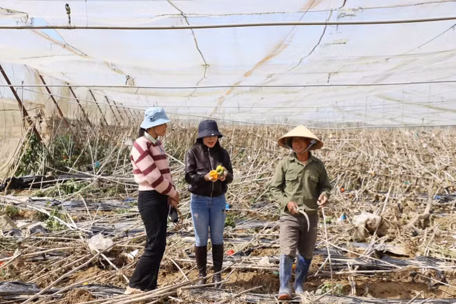 Nhà báo Nguyễn Thị Lương (đứng giữa) tác nghiệp ở xã Ka Đô sau cơn bão số 13, tháng 11/2025.